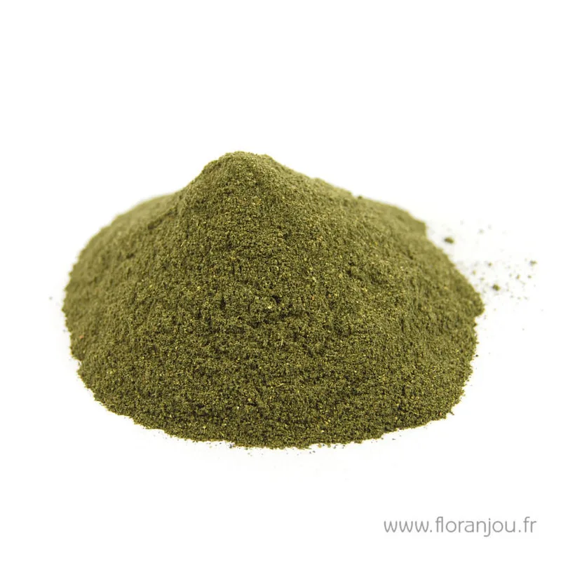 Polvo de ortiga