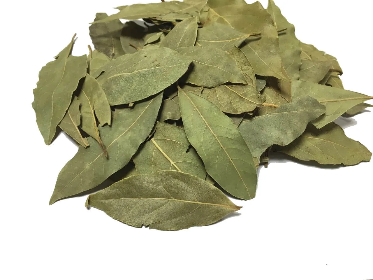 Hojas de laurel